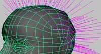 syflex_ver3.5_Curve Animation